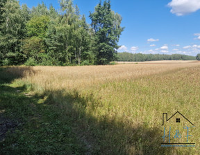 Działka na sprzedaż, Łaski Łask Anielin, 22 800 zł, 5700 m2, 616425