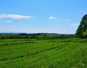 Rolny na sprzedaż, Krakowski (pow.) Liszki (gm.) Czułów, 149 000 zł, 16 800 m2, 20