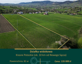 Działka na sprzedaż, Nowosądecki Chełmiec Krasne Potockie, 135 000 zł, 8200 m2, 79