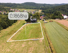 Działka na sprzedaż, Brzeski Dębno Doły, 95 000 zł, 1564 m2, 55