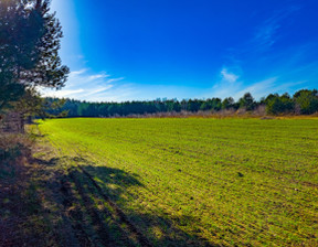 Działka na sprzedaż, Grodziski Żabia Wola Bartoszówka Pogodna, 235 000 zł, 1661 m2, 621986