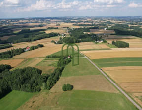 Działka na sprzedaż, Ropczycko-Sędziszowski Iwierzyce Wiśniowa, 295 000 zł, 5618 m2, 1/16276/OGS