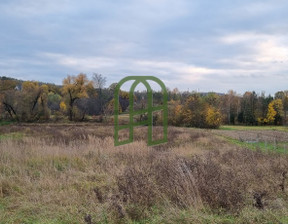 Działka na sprzedaż, Strzyżowski Czudec Babica, 175 000 zł, 6826 m2, 16/16276/OGS