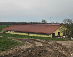 Dom na sprzedaż, Olsztyński Biskupiec Labuszewo, 12 000 000 zł, 150 m2, 451