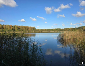 Rolny na sprzedaż, Szczycieński Dźwierzuty Targowska Wola, 110 000 zł, 2655 m2, 529