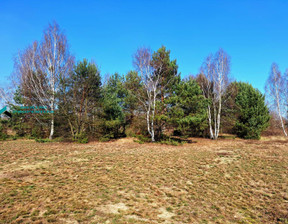 Działka na sprzedaż, Warszawski Zachodni Stare Babice Borzęcin Duży, 840 000 zł, 3000 m2, 45