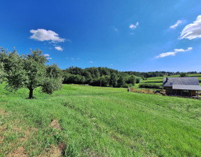 Działka na sprzedaż, Bocheński Nowy Wiśnicz Królówka, 120 000 zł, 3500 m2, 366686