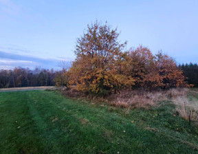 Działka na sprzedaż, Bocheński Lipnica Murowana Lipnica Górna, 95 000 zł, 1038 m2, 296828