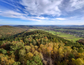 Działka na sprzedaż, Brzeski Iwkowa, 100 000 zł, 20 600 m2, 554358