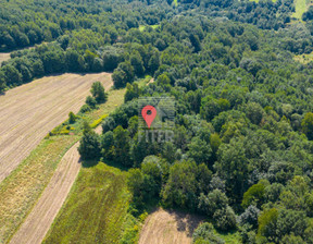 Leśne na sprzedaż, Brzeski Brzesko Poręba Spytkowska, 70 000 zł, 10 100 m2, 439