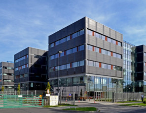 Biuro do wynajęcia, Wrocław Fabryczna Muchobór Mały Muchoborska, 24 381 zł, 415 m2, 4