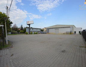 Magazyn do wynajęcia, Warszawski Zachodni Błonie Sochaczewska, 9800 zł, 270 m2, 56700239