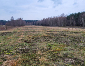 Rolny na sprzedaż, Warszawski Zachodni Leszno Kępiaste, 992 500 zł, 17 300 m2, 36108