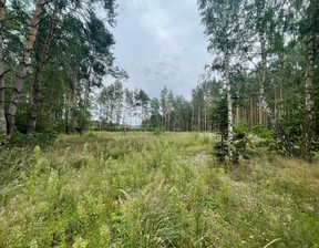 Leśne na sprzedaż, Bydgoski (pow.) Dąbrowa Chełmińska (gm.) Czarże, 265 000 zł, 14 574 m2, NLO-LAS-94