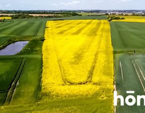 Rolny na sprzedaż, Gdański Pruszcz Gdański Łęgowo Nowa, 2 262 000 zł, 75 400 m2, 2124/2089/OGS