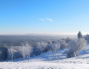 Działka na sprzedaż, Kłodzki Duszniki-Zdrój Zieleniec Zieleniec, 1 400 000 zł, 4300 m2, 2313/2089/OGS