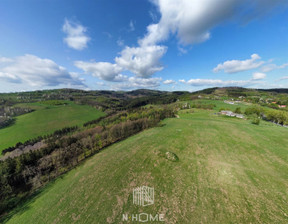 Działka na sprzedaż, Wałbrzyski Walim Zagórze Śląskie Leśna, 600 000 zł, 5000 m2, NHM-GS-32510