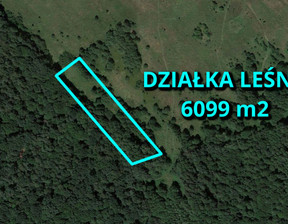 Leśne na sprzedaż, Częstochowski Kamienica Polska, 39 000 zł, 6099 m2, ZG474938