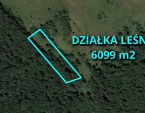 Działka na sprzedaż, Częstochowski Kamienica Polska, 39 000 zł, 6099 m2, ZG474938