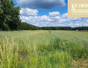 Działka na sprzedaż, Pabianicki Lutomiersk Puczniew Puczniew-Leonów, 120 000 zł, 9138 m2, 15/15923/OGS