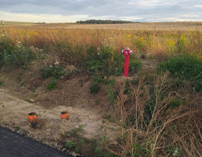 Działka na sprzedaż, Trzebnicki (pow.) Oborniki Śląskie (gm.) Siemianice Srebrna, 383 300 zł, 3871 m2, 3