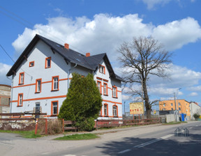 Hotel, pensjonat na sprzedaż, Zgorzelecki Zgorzelec Jędrzychowice, 1 200 000 zł, 405 m2, NGO-BS-13044