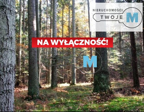 Leśne na sprzedaż, Kielecki Pierzchnica Huta Szklana, 315 000 zł, 45 000 m2, TWJ-GS-1330-2