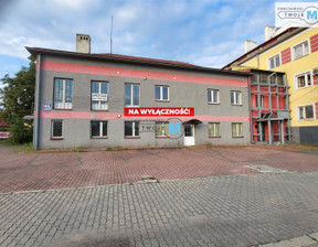 Lokal usługowy na sprzedaż, Ostrowiecki Ostrowiec Świętokrzyski, 920 000 zł, 440 m2, TWJ-LS-1586