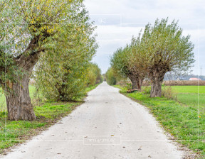 Budowlany na sprzedaż, Poznański Buk Niepruszewo Leśna, 750 000 zł, 3788 m2, 171520