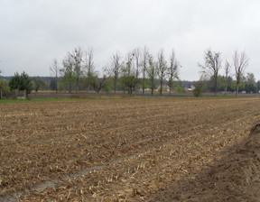 Działka na sprzedaż, Sochaczewski Nowa Sucha Stary Dębsk, 330 000 zł, 21 400 m2, 92/7365/OGS