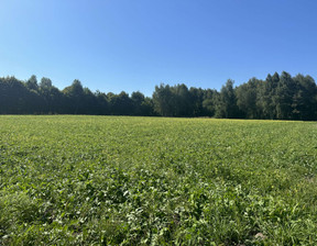 Działka na sprzedaż, Zielonogórski (pow.) Zielona Góra (gm.) Racula- Rodła, 2 135 000 zł, 6100 m2, 34