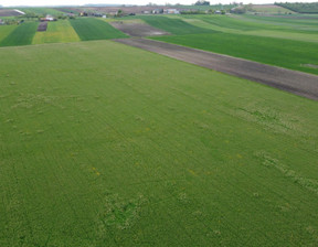 Rolny na sprzedaż, Krakowski Słomniki Czechy, 1 295 000 zł, 44 790 m2, 2600