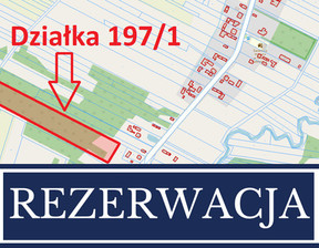 Działka na sprzedaż, Przysuski Borkowice Niska Jabłonica, 99 000 zł, 18 100 m2, 193/9020/OGS