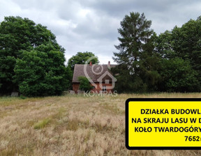 Działka na sprzedaż, Oleśnicki Twardogóra Domasławice, 299 000 zł, 7652 m2, 3110