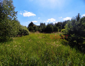 Działka na sprzedaż, Żyrardowski Wiskitki Tomaszew, 362 000 zł, 3150 m2, 951271