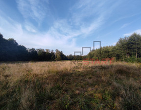 Działka na sprzedaż, Żyrardowski Radziejowice Benenard, 240 000 zł, 1920 m2, 608280