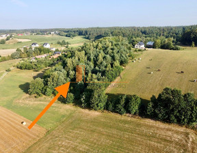 Rolny na sprzedaż, Kartuski Chmielno Miechucino Strysza Góra, 859 000 zł, 10 700 m2, 7/9733/OGS