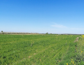 Rolny na sprzedaż, Kolonia - Natalin, 476 000 zł, 6028 m2, 46/EMN/DZS-406