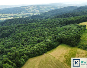 Leśne na sprzedaż, Jasielski Nowy Żmigród Stary Żmigród, 399 000 zł, 96 100 m2, KWA804572