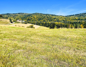 Działka na sprzedaż, Tarnowski Szerzyny Żurowa, 59 000 zł, 1200 m2, 1525/13924/OGS