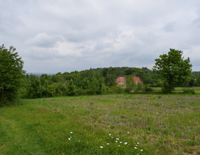 Działka na sprzedaż, Rzeszowski Tyczyn Hermanowa, 163 500 zł, 1090 m2, 1383/13924/OGS