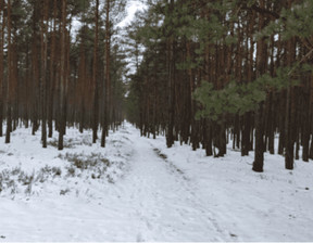 Działka na sprzedaż, Myszkowski (pow.) Poraj (gm.) Choroń, 16 400 zł, 6249 m2, 142