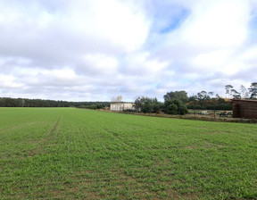 Działka na sprzedaż, Nowotomyski Nowy Tomyśl Bukowiec Sątopska, 499 000 zł, 10 302 m2, 516580