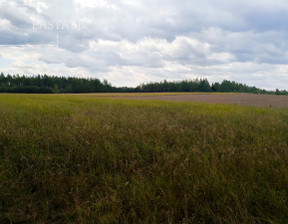 Rolny na sprzedaż, Tucholski Śliwice Łąski Piec, 449 000 zł, 33 600 m2, 188570