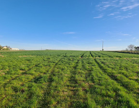 Budowlany na sprzedaż, Zamojski Zamość Sitaniec, 140 000 zł, 1400 m2, 43