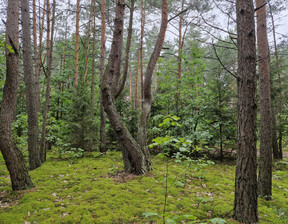 Działka na sprzedaż, Garwoliński Wilga Osiedle Wilga, 435 000 zł, 4130 m2, 172/1467/OGS