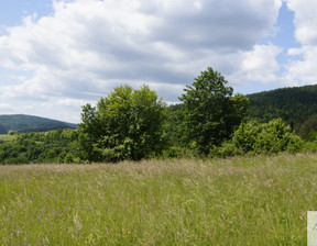 Działka na sprzedaż, Myślenicki (pow.) Pcim (gm.) Stróża, 115 000 zł, 1700 m2, 370a