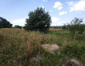 Budowlany na sprzedaż, Trzebnicki Zawonia Wiosenna, 290 000 zł, 906 m2, 31558