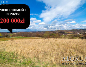 Działka na sprzedaż, Bocheński Nowy Wiśnicz Królówka, 175 000 zł, 2000 m2, 1029/ALK/DZS-2294