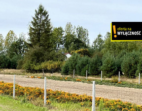 Rolny na sprzedaż, Buski Pacanów Biskupice, 220 000 zł, 24 800 m2, GH646147